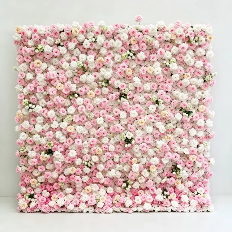 pink white rose flower wall front view full display