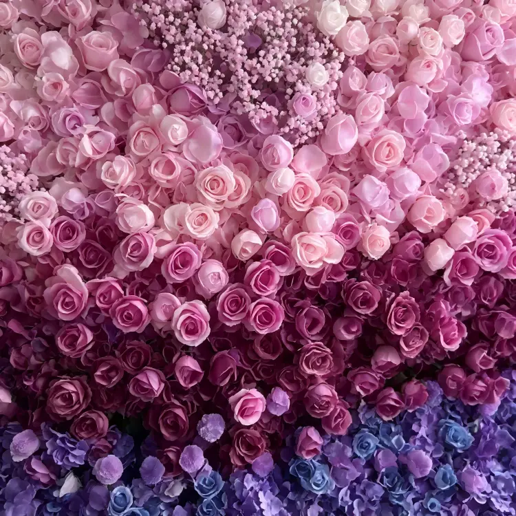 pink purple gradient rose baby breath hydrangea close up texture detail