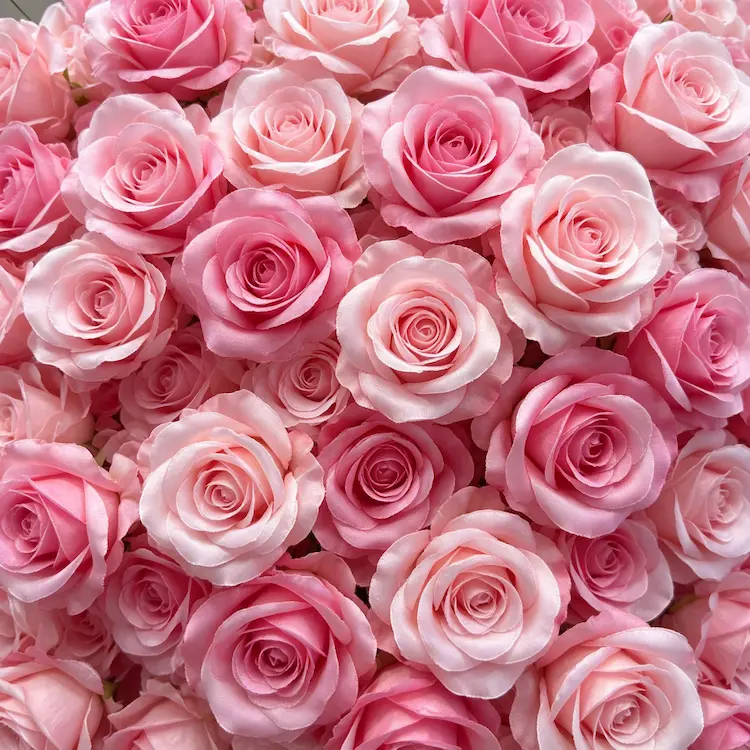 pink-rose-flower-arch-closeup-detail
